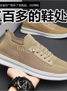 美丽霞甄选男鞋2026夏季新款一脚蹬帕拉鞋男士透气薄款飞织网面鞋