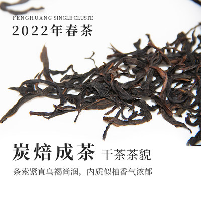 凤凰单丛高香醇爽2022年春茶