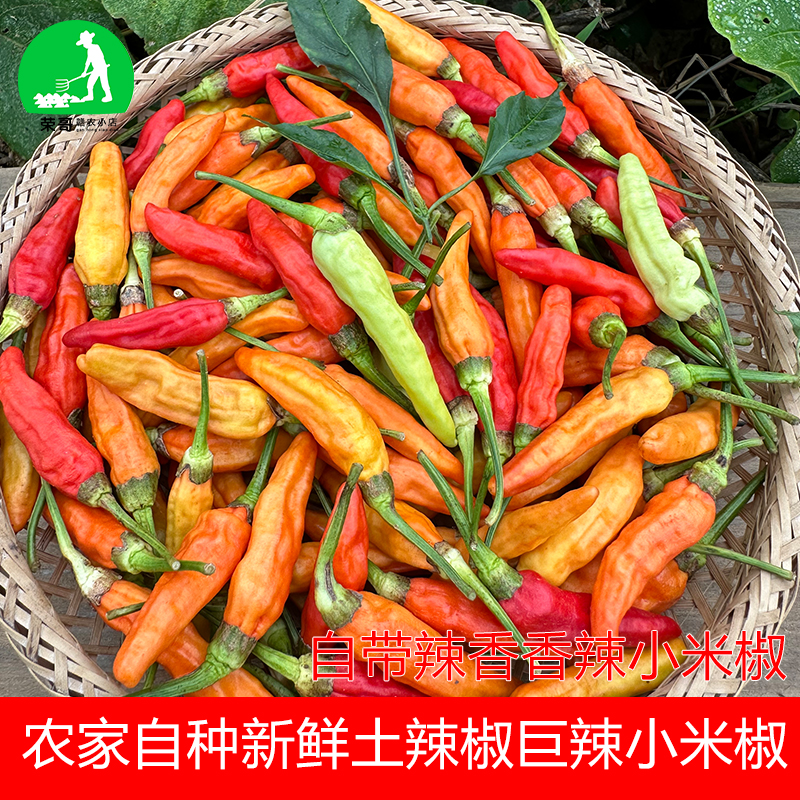 现采现发新鲜小米辣红辣椒