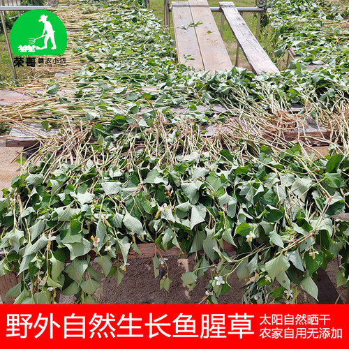 江西客家野生鱼腥草干货正宗农家自晒家用折耳根天然鱼腥草无添加