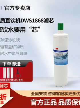 3M净水器DWS2500-CN原装专用滤芯正品通用 1873/1863活性炭滤芯