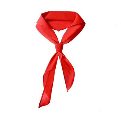 晨光红领巾小学生纯棉通用