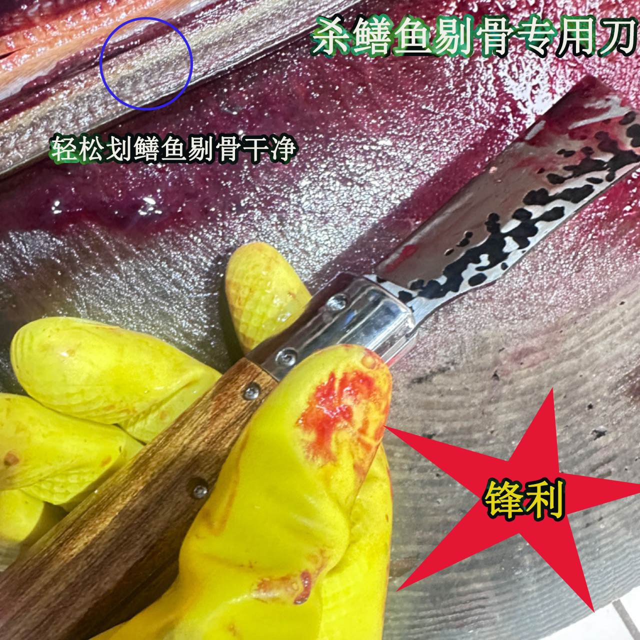 杀黄鳝专用鳝鱼刀手工锻打锰钢刀