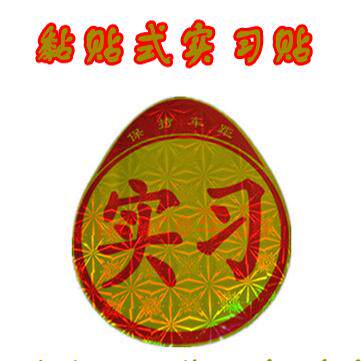 汽车实习车贴 个性标志 卡通实习贴 新手上路 （新手驾驶）