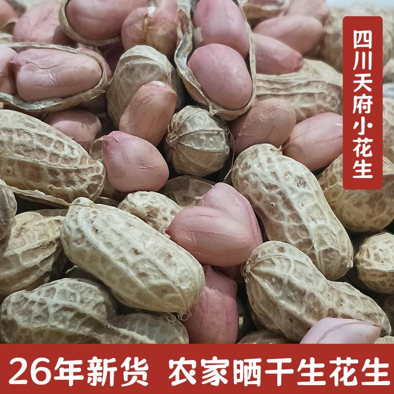 26年农家新鲜带壳晒干天府花生