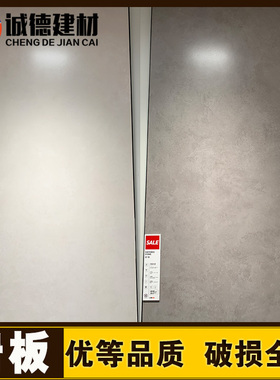 东鹏瓷砖750×1500地砖岩板侘寂水泥T10F150452 T10F150457