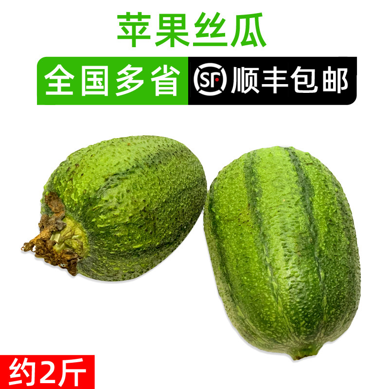 新鲜苹果丝瓜约2斤 迷你肉丝瓜四季丝瓜 多省顺丰包邮