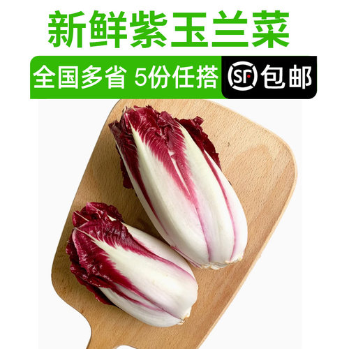 新鲜紫玉兰菜500g 红玉兰芽球菊苣蔬菜chicory比利时沙拉西餐食材