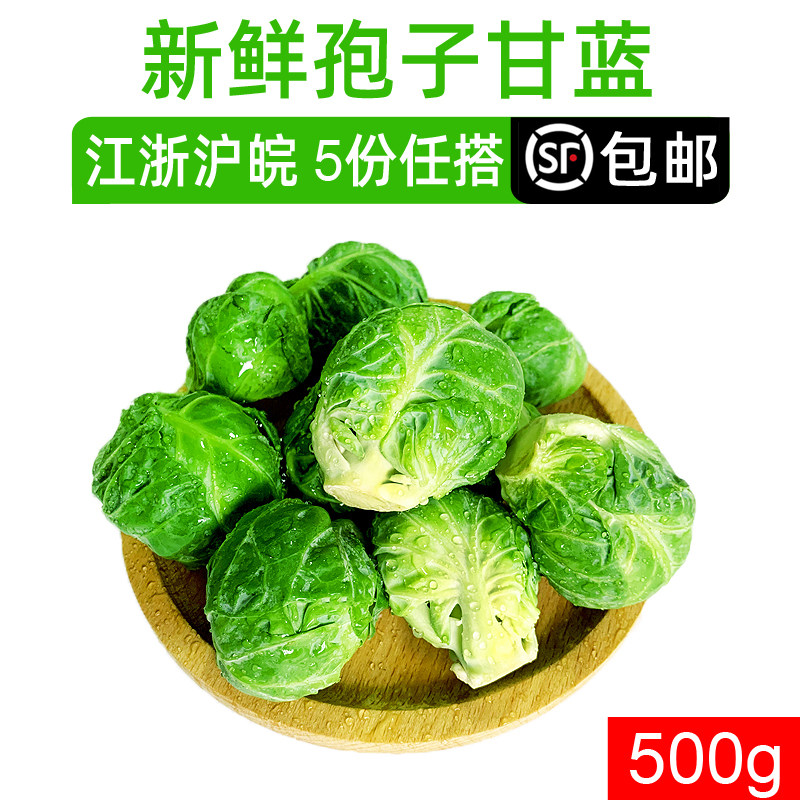 孢子甘蓝500g 西餐新鲜蔬菜其它