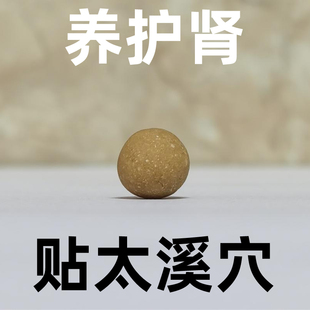 养护肾贴温肾固肾强肾贴草本植物制作穴位贴肾阴阳虚男女护肾通用