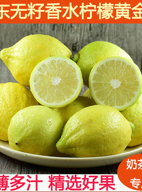 广东香水柠檬黄果黄柠檬新鲜现摘无籽咖啡奶茶店专用手打柠檬茶