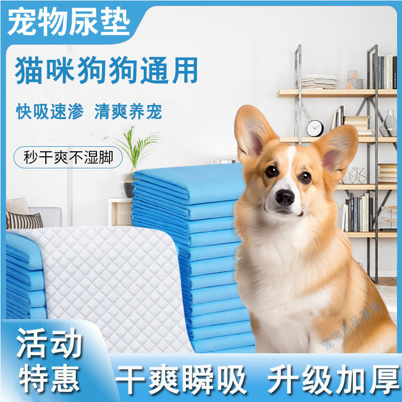 狗狗尿垫加厚除臭吸水宠物一次性尿片兔子隔尿布猫咪尿不湿尿垫,宠物/宠物食品及用品,尿片/尿垫/护垫,淘宝优惠券,粉丝福利购,淘宝优惠卷