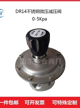 气体减压阀DR14微压减压器不锈钢压力调节阀门稳压阀1Kpa3kpa5kpa