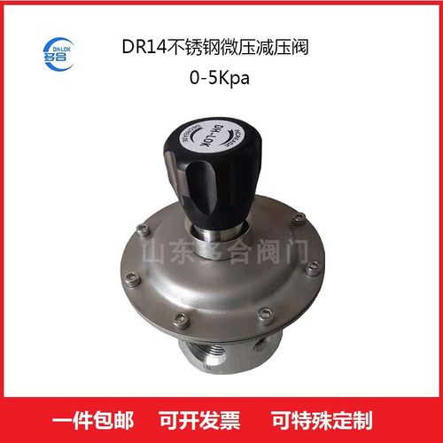 气体减压阀dr14不锈钢调节