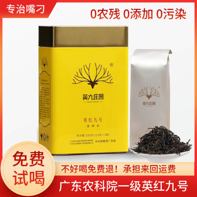 英九庄园英红九号一级红茶250g