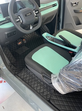 北汽元宝家宝领途缤纷丽驰金锂PROL6L7L3L1全包围电动车脚垫