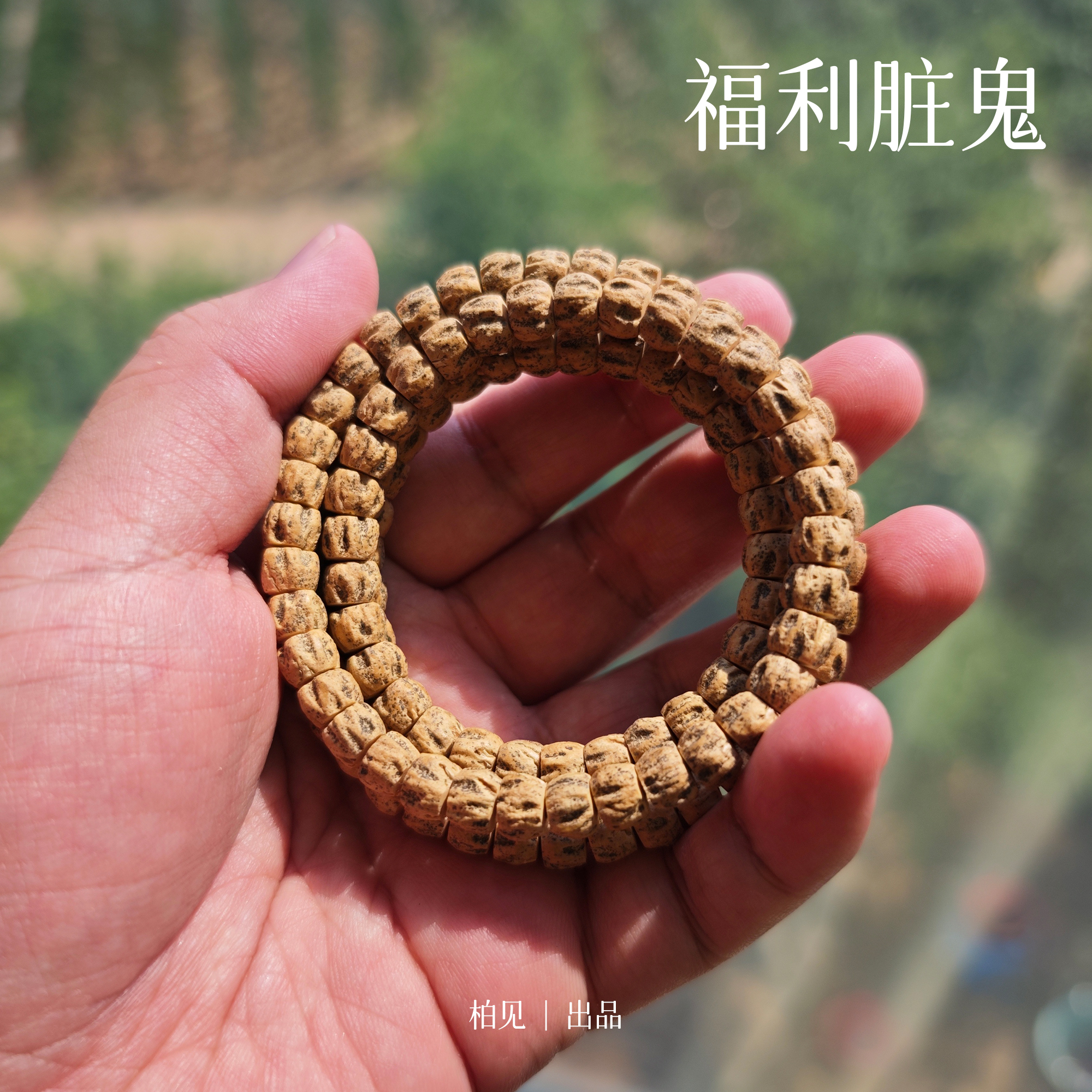 【厚切顺鬼】原皮脏脏精工归圆粉皮热振百香籽108长串柏香籽菩提