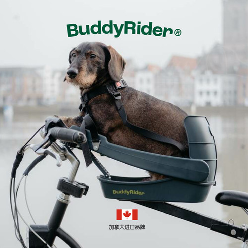 BuddyRider腊肠犬宠物自行车座椅