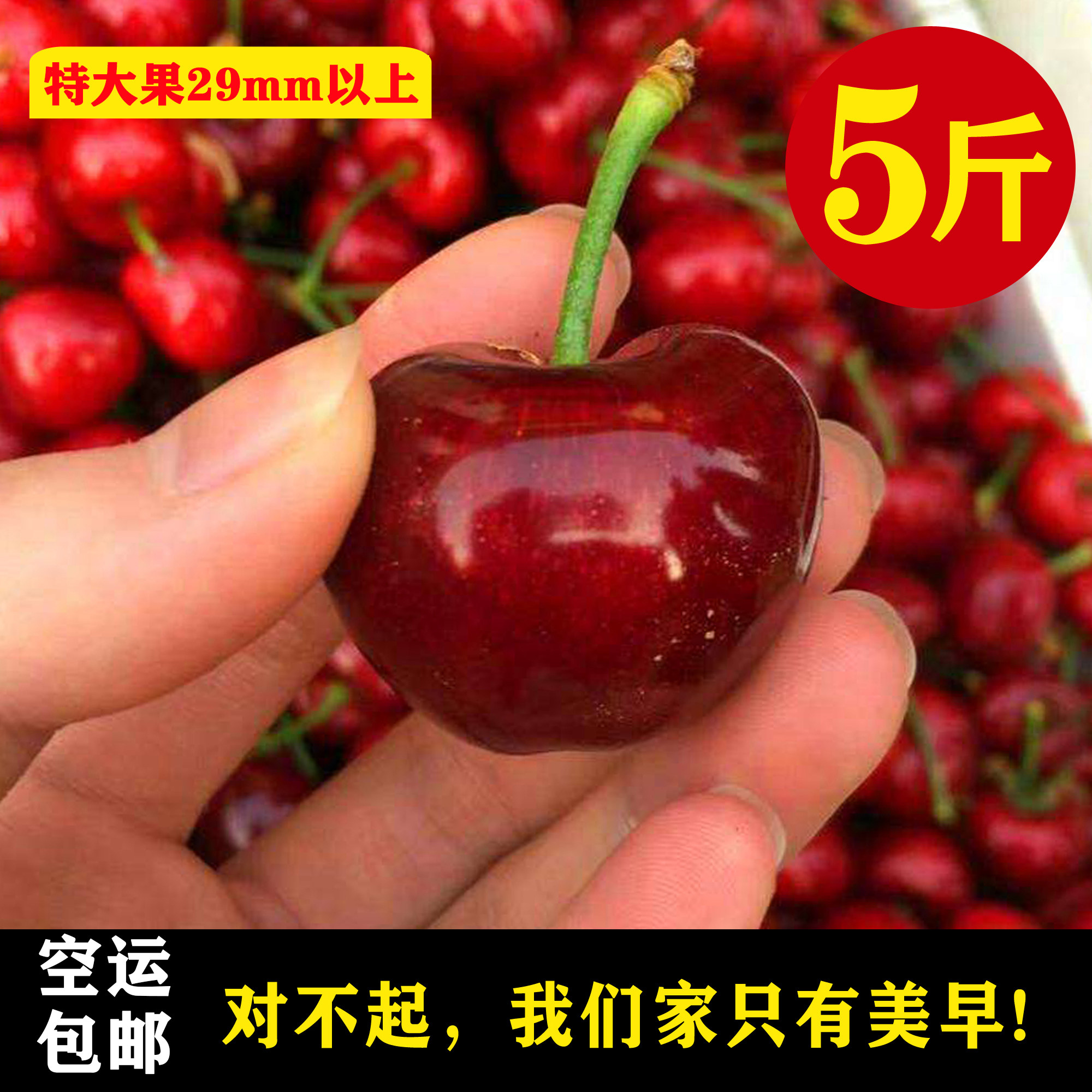 5月烟台大樱桃美早车厘子 果园直发 顺丰包邮  腐烂包赔 樱珠