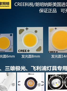 美国cree科锐30W进口科瑞芯片led灯珠1820ncob光源1507N1512N1816