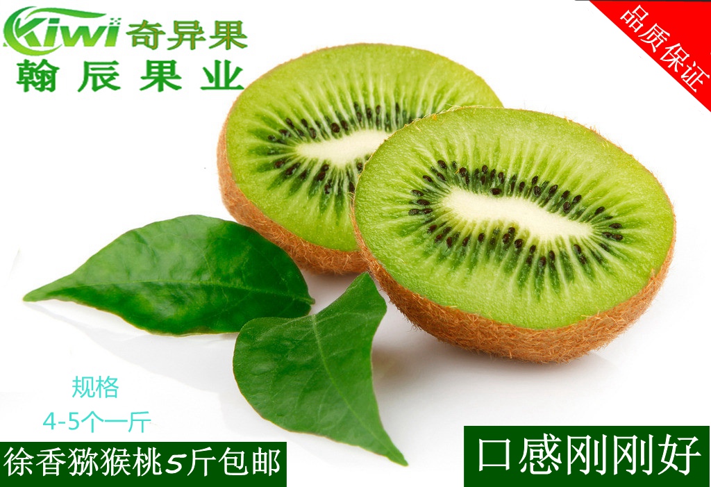 壁纸 草 绿色 水果 植物 桌面 500_342