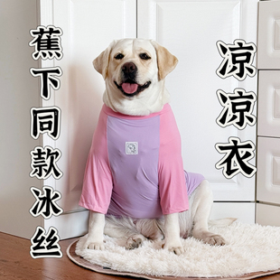 狗狗衣服大型犬夏薄款冰丝衣服宠物凉凉衣服拉布拉多防晒宠物衣服