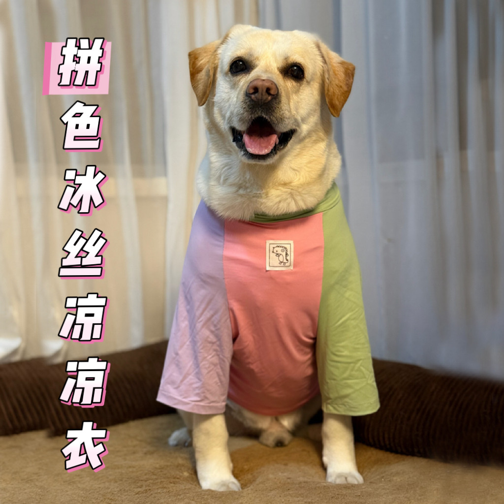 大型犬衣服夏季冰丝凉凉衣拉布拉多金毛薄款凉感衣服防感冒降温衣