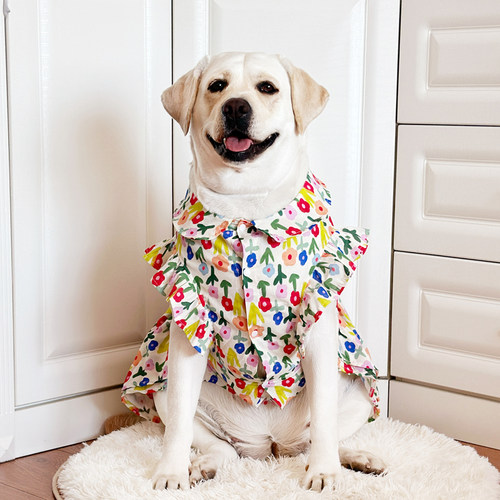 狗狗衣服大型犬春秋小清新裙子拉布拉多金毛衣服大狗薄款可爱衣服