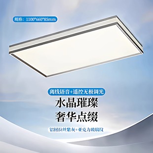 全光谱LED护眼客厅吸顶灯现代简约高级感中山星发现意式极简主灯