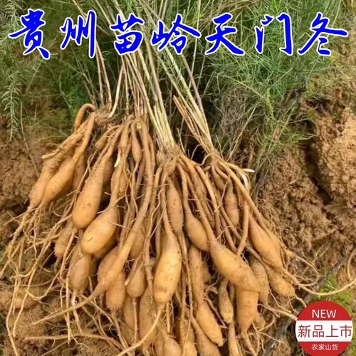 贵州苗岭天门冬鲜货农产品 新鲜天冬草药门冬高原特产500克一窝蛆