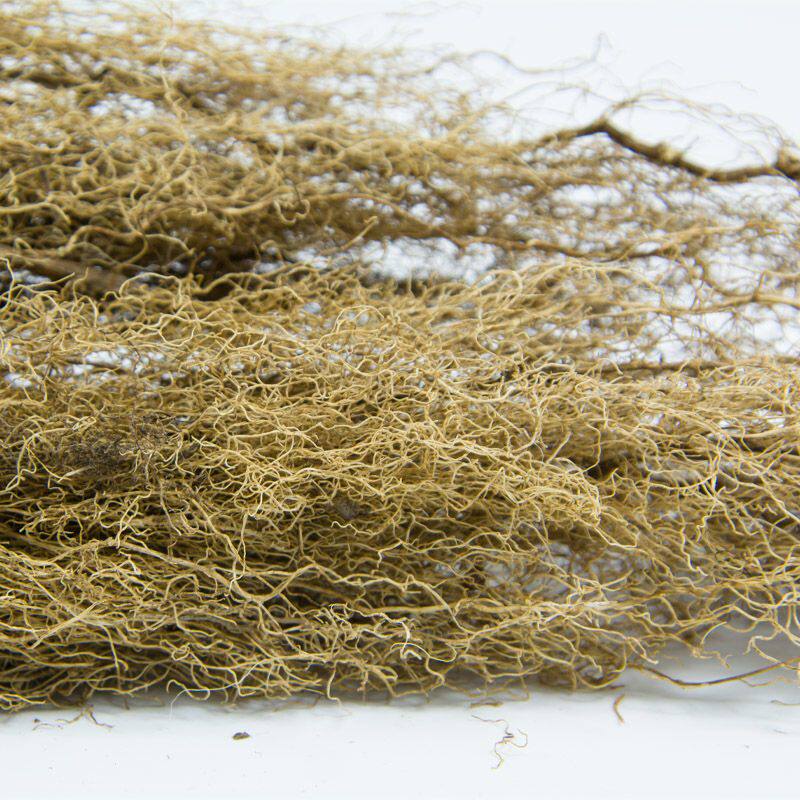 白龙须中药材苗岭八角枫须侧根瓜木须白金条臭梧桐道地贵州草药