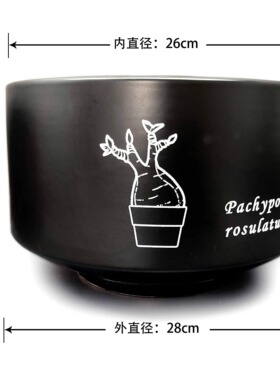 NBHD象牙宫龟甲龙块根多肉植物陶瓷潮流大型花盆SRL日式黑金本钵