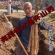 河南温县正宗垆土山药铁棍山药怀淮山药新鲜铁杆卢土山药怀府药膳
