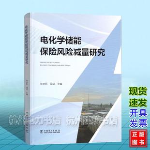 电化学储能保险风险减量研究
