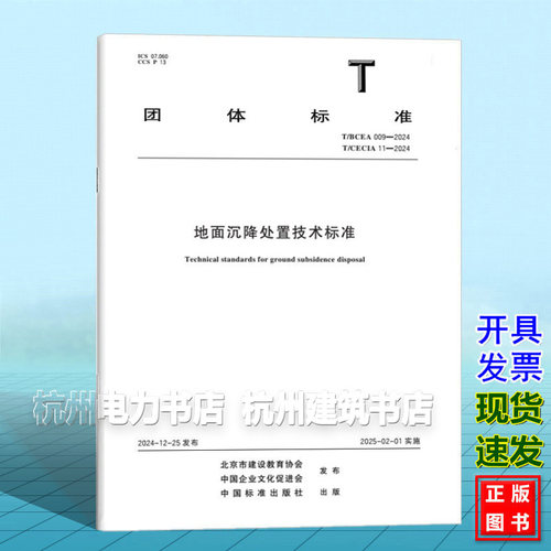 T/BCEA 009-2024 T/CECIA 11-2024 地面沉降处置技术标准