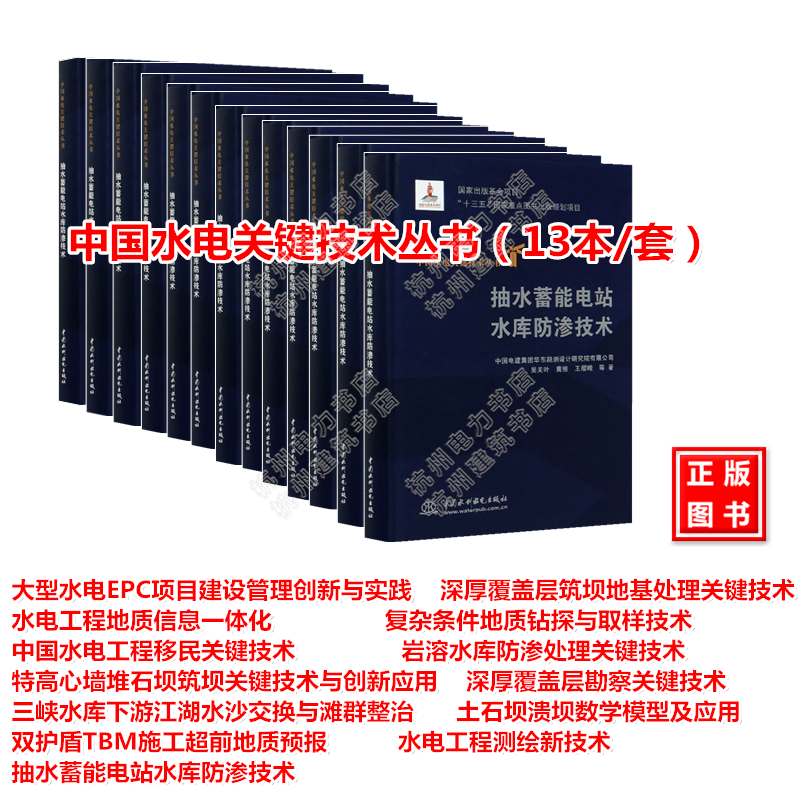 【全套13本】中国水电关键技术丛书 中国水利水电出版社 大型水电EPC项目建设管理创新与实践 水电工程地质信息一体化 移民