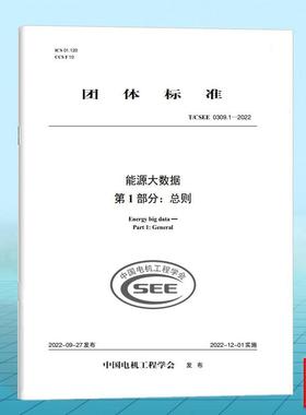 T/CSEE 0309.1-2022 能源大数据第1部分:总则