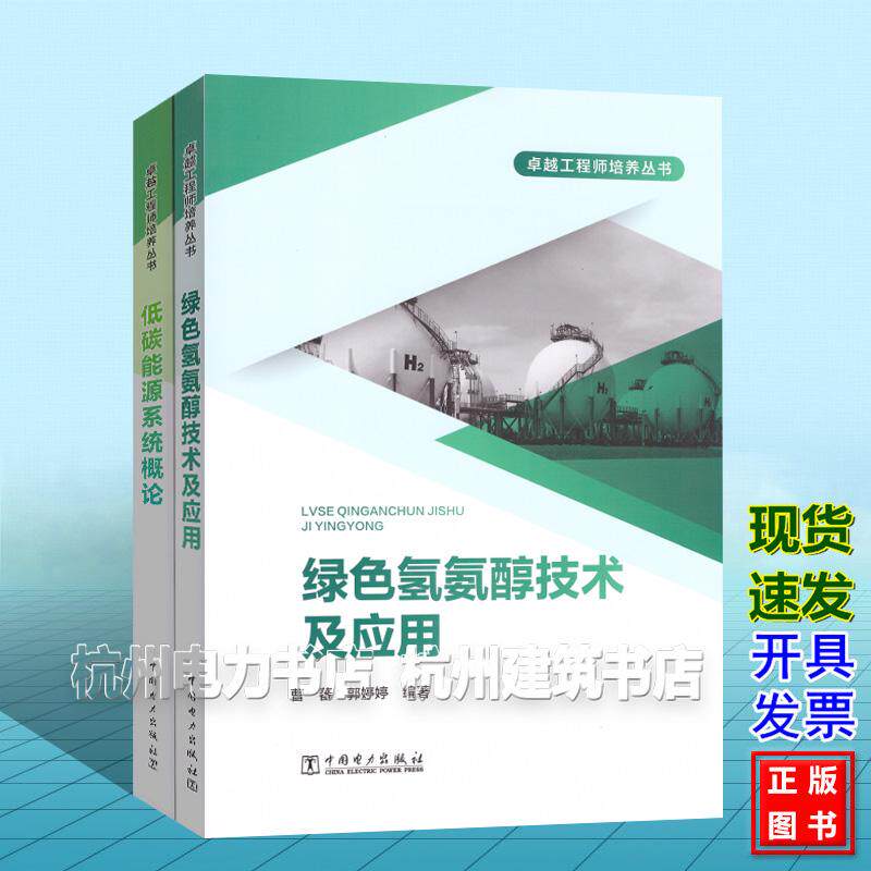 【全2册】卓越工程师培养丛书:绿色氢氨醇技术及应用 低碳能源系统概论
