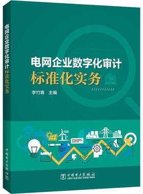 电网企业数字化审计标准化实务