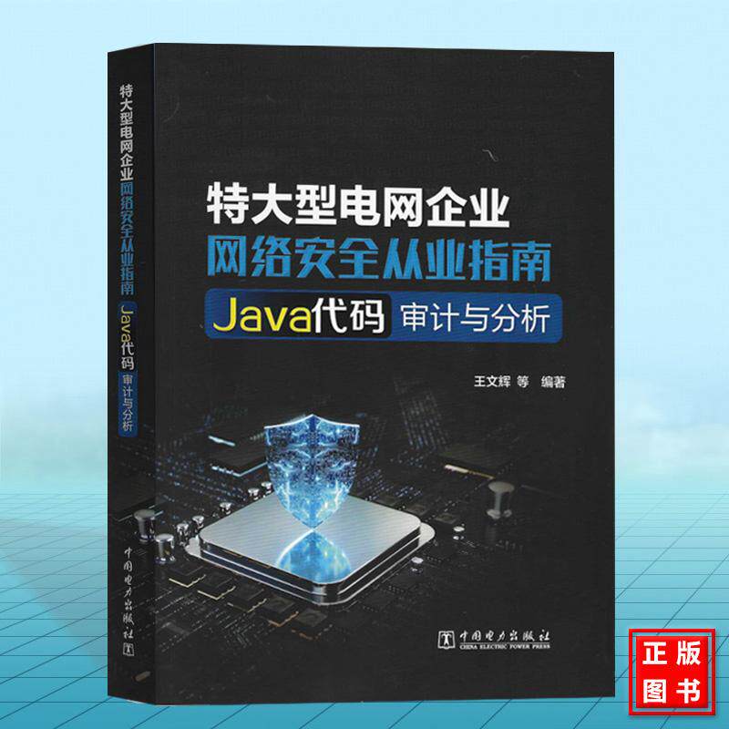 特大型电网企业网络安全从业指南 Java代码审计与分析