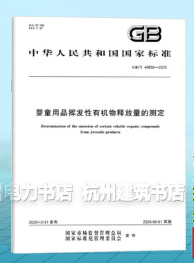 GB/T 46856-2025 婴童用品挥发性有机物释放量的测定