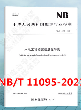 NB/T 11095-2023 水电工程档案信息化导则