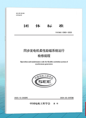 T/CSEE 0383-2023 同步发电机柔性励磁系统运行检修规程