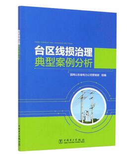 台区线损治理典型案例分析 9787519848644中国电力出版社