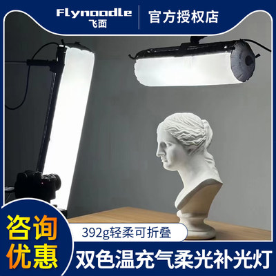 FlyNoodle飞面双色温直播摄影灯