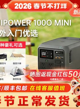 【1度电旗舰新品】DJI 大疆 Power 1000 Mini 移动电源220V快充便携自驾露营车载应急备用储能户外电源