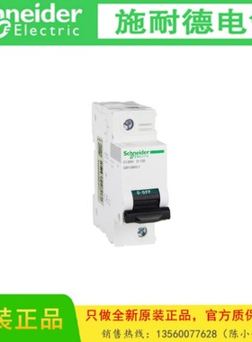 Schneider/施耐德 A9N19828高额定电流小型断路器C120H 1P D 125A