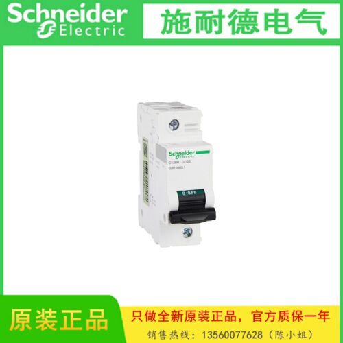 Schneider/施耐德 A9N19828高额定电流小型断路器C120H 1P D 125A