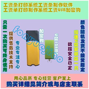工资条打印系统工资条制作软件工资单打印制作系统工资USB加密狗