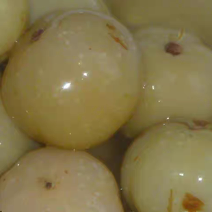 云南泡橄榄滇橄榄 土特产 农家特色余 甘果650g包邮